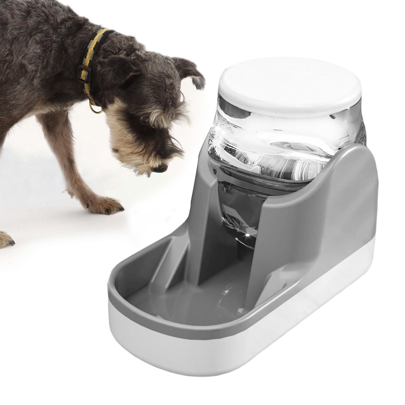 Black Reef Gravity Tank — 1 Gallon Gravity Cat Water Dispenser