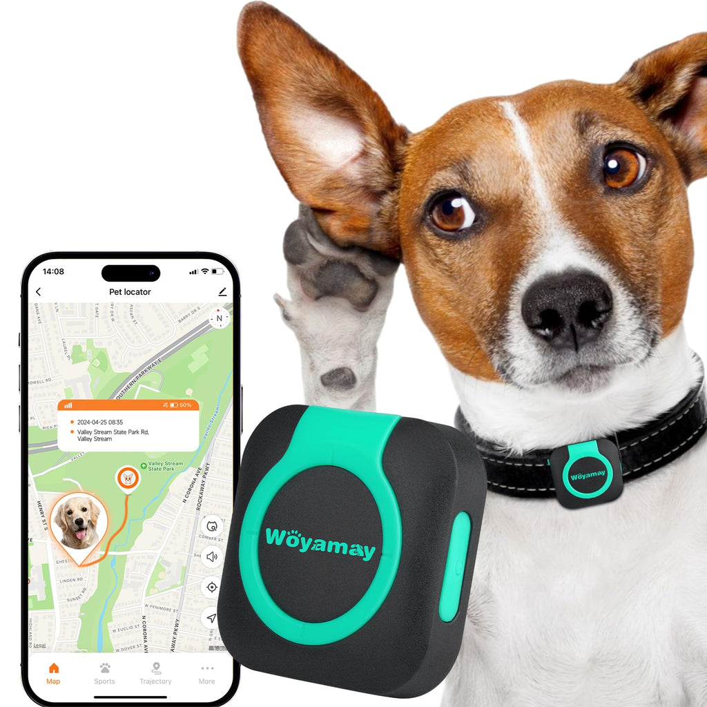 TrackTail GPS pet tracker with health monitor real-time tracking in black on dog collar