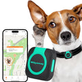 TrackTail GPS pet tracker with health monitor real-time tracking in black on dog collar