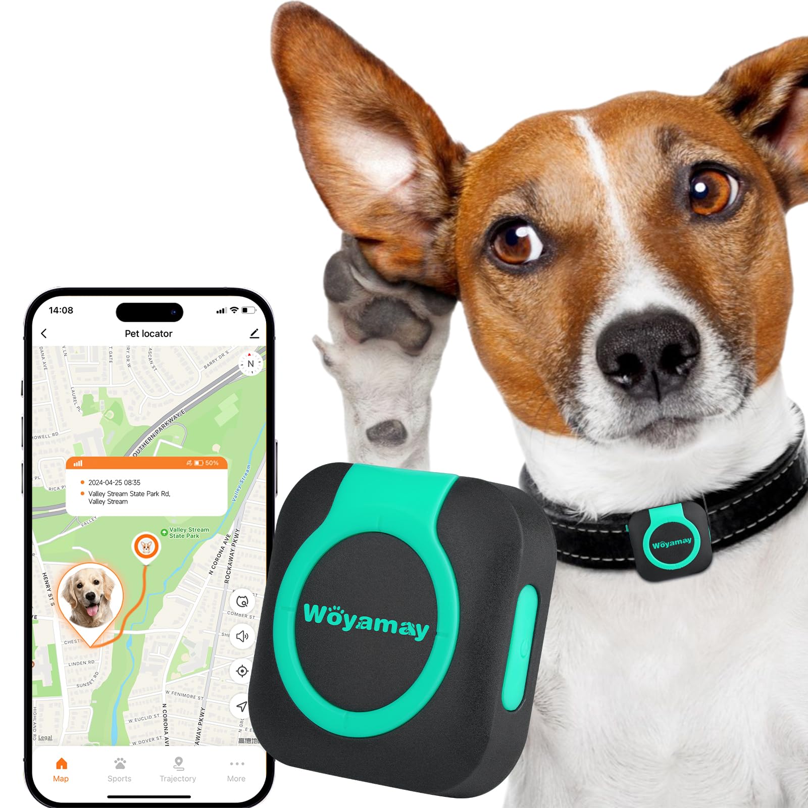 TrackTail GPS pet tracker with health monitor real-time tracking in black on dog collar