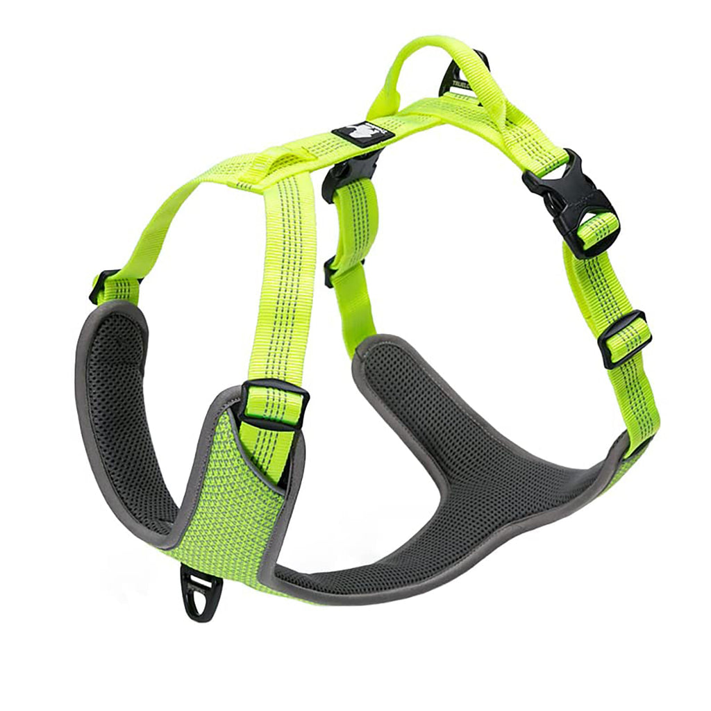 TRUE LOVE harness on dog showing dual front and back D-ring attachment points