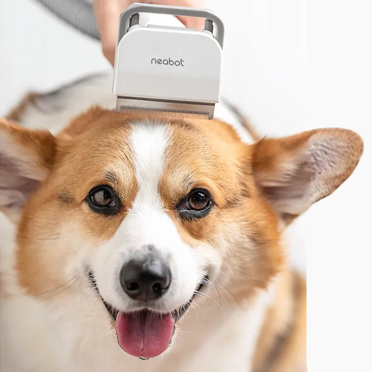 Black Reef ClipPro — Cordless Professional Dog & Cat Grooming Clipper
