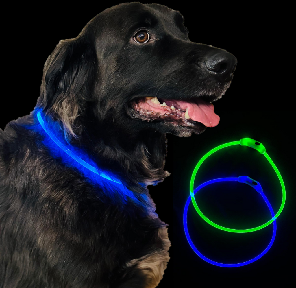 The Night Safety Pack — GlowReef LED Collar + HiVis Vest + Reflective Harness
