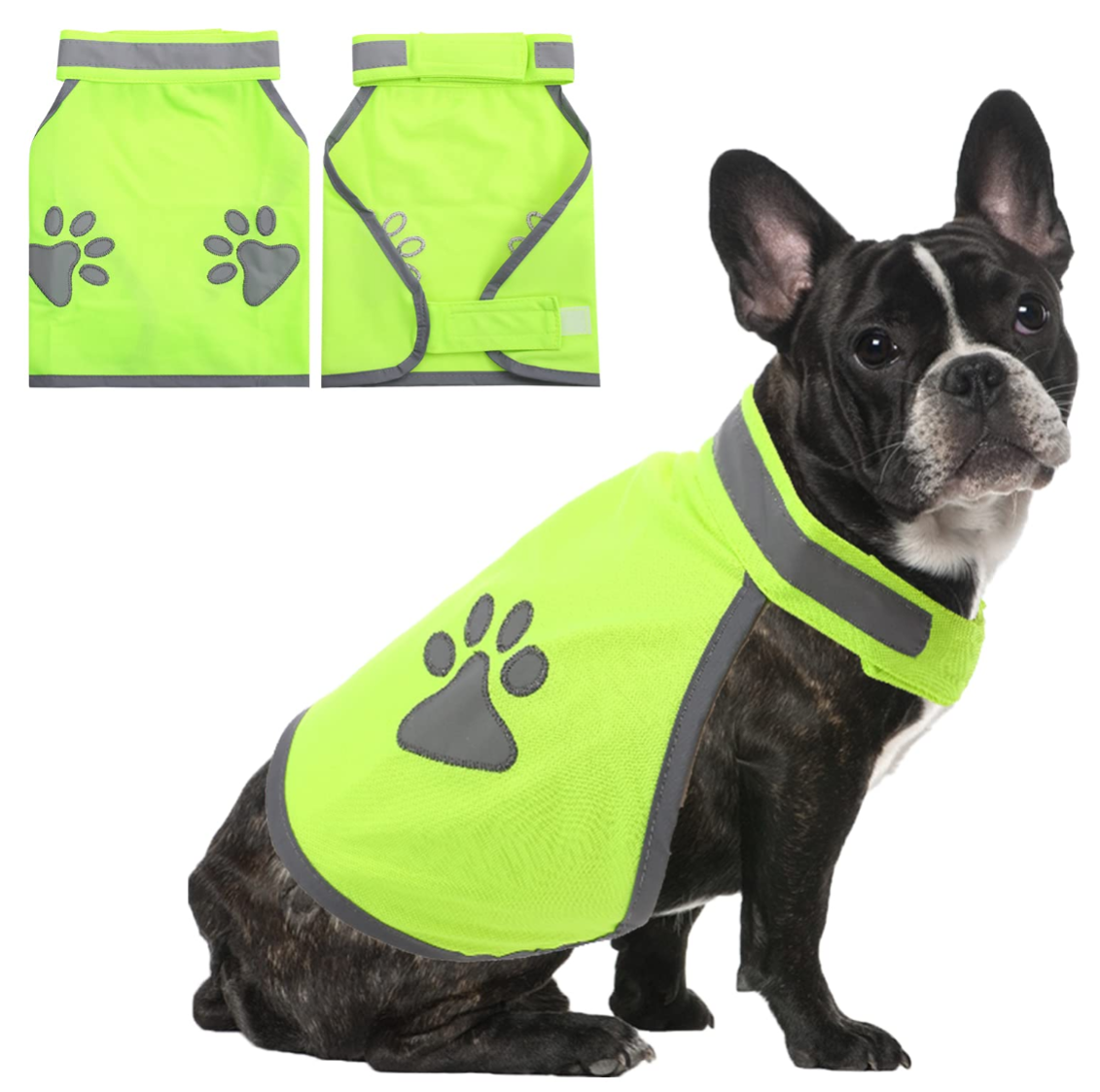 The Night Safety Pack — GlowReef LED Collar + HiVis Vest + Reflective Harness