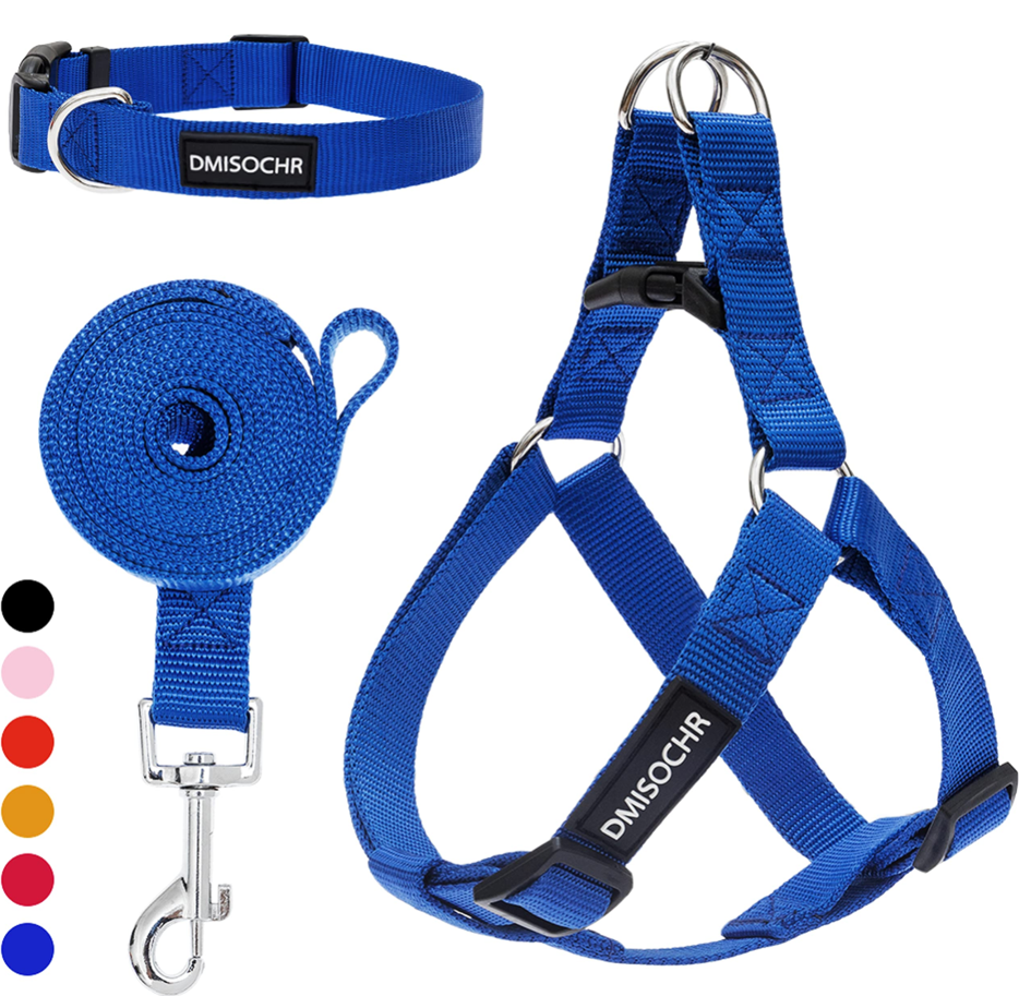 The Night Safety Pack — GlowReef LED Collar + HiVis Vest + Reflective Harness
