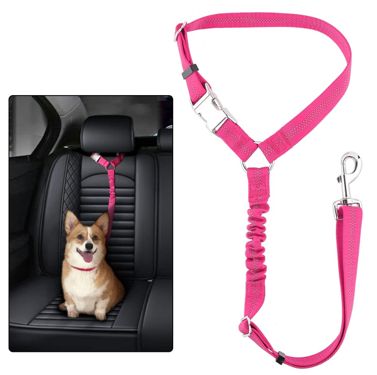The Complete Car Safety Pack — Hammock + TailSafe + SteelGuard + HeadRest Belt