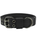 TacticalReef Base collar showing metal buckle and 1000D nylon webbing detail