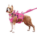 Black Reef K9 Tactical full military dog harness, collar and bungee leash set in black