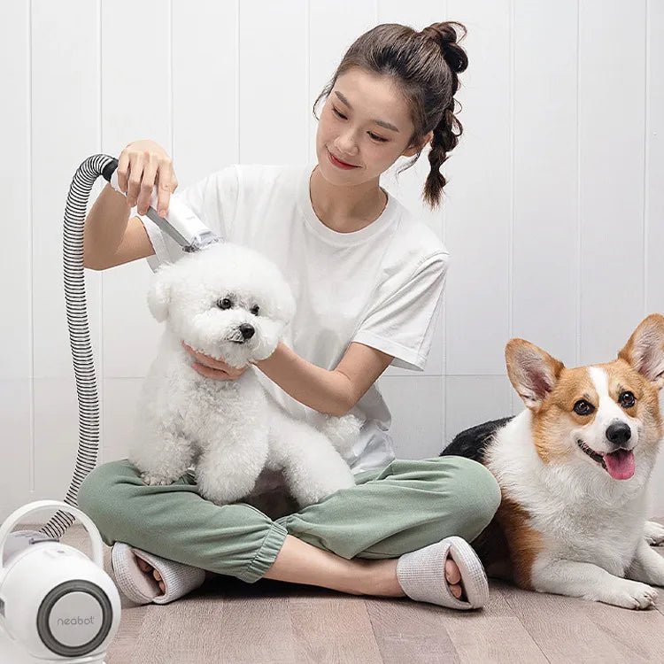 Black Reef ClipPro — Cordless Professional Dog & Cat Grooming Clipper - BLACK REEF PETS