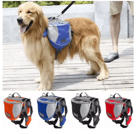 Black Reef Explorer Pack — Outdoor Backpack Carrier for Dogs & Cats - BLACK REEF PETS