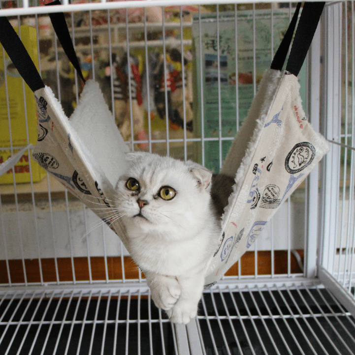 Black Reef Hammock Sling — Hanging Cat Bed (14 Pattern Options) - BLACK REEF PETS