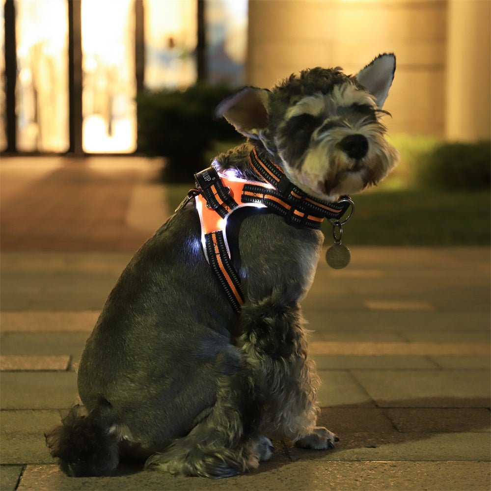 Black Reef Night Guardian — LED Light-Up Dog Harness & Leash Set - BLACK REEF PETS