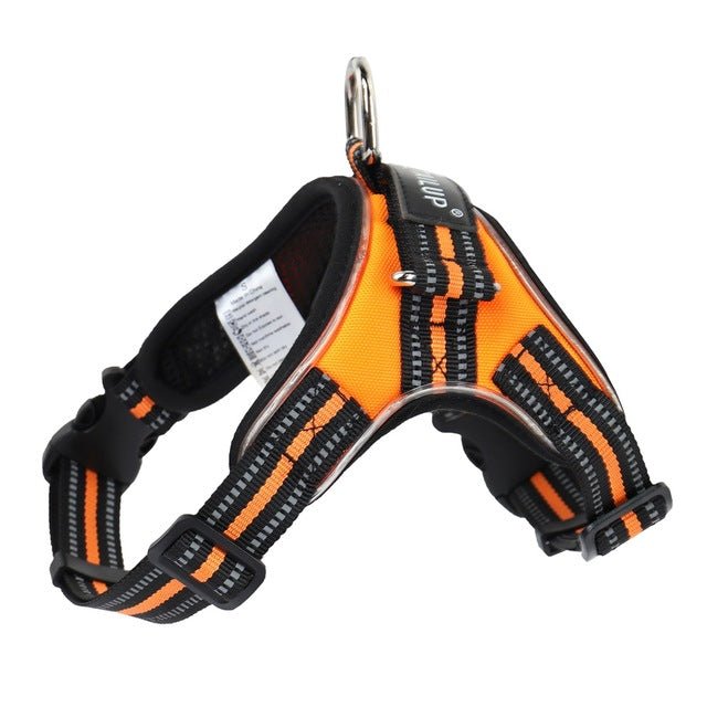 Black Reef Night Guardian — LED Light-Up Dog Harness & Leash Set - BLACK REEF PETS