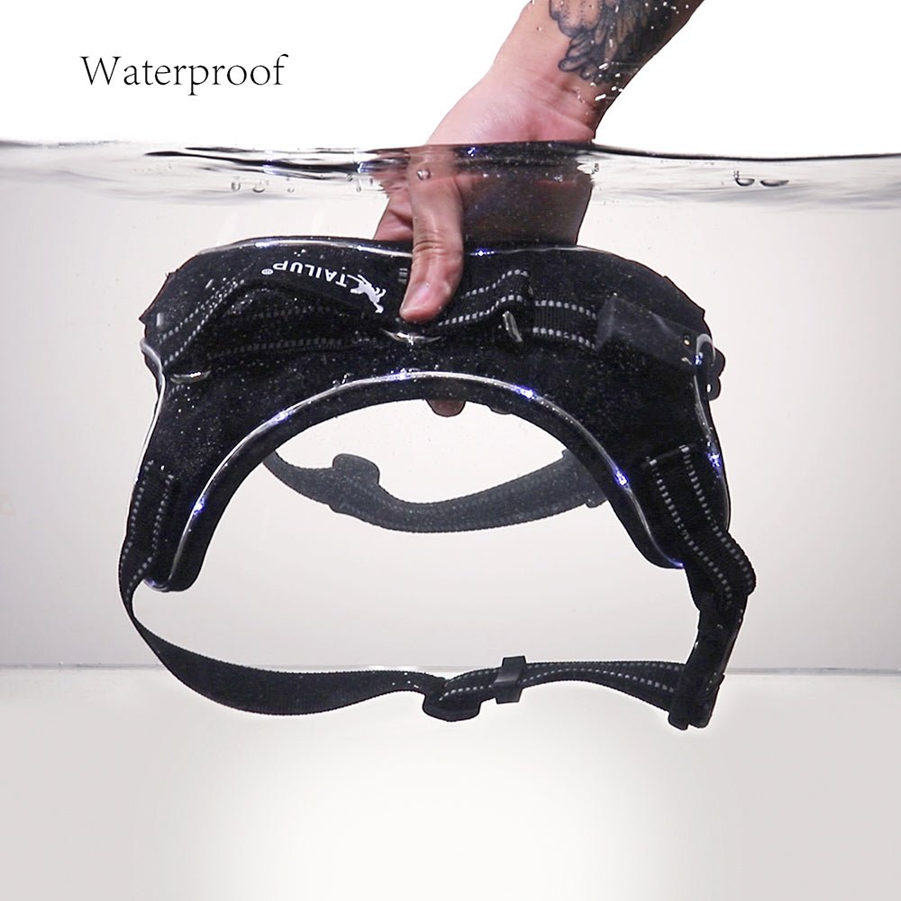 Black Reef Night Guardian — LED Light-Up Dog Harness & Leash Set - BLACK REEF PETS