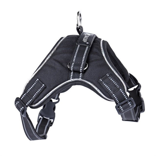 Black Reef Night Guardian — LED Light-Up Dog Harness & Leash Set - BLACK REEF PETS