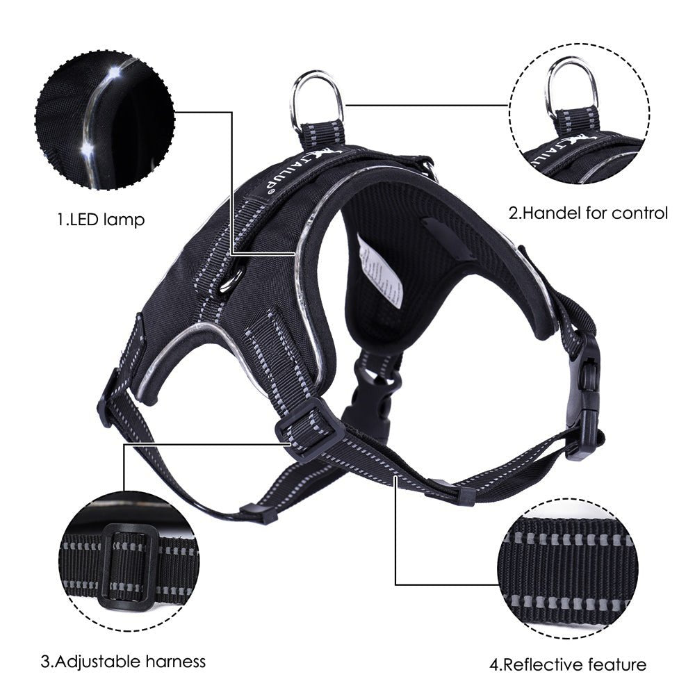Black Reef Night Guardian — LED Light-Up Dog Harness & Leash Set - BLACK REEF PETS
