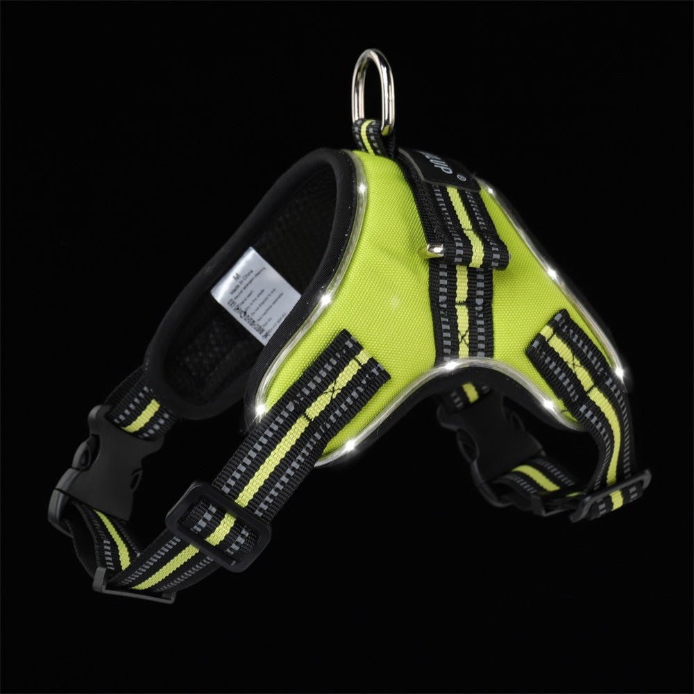 Black Reef Night Guardian LED harness detail showing glowing strips and leash attachment