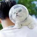 Black Reef SafeHood — Transparent Anti-Bite Cat Grooming Mask - BLACK REEF PETS