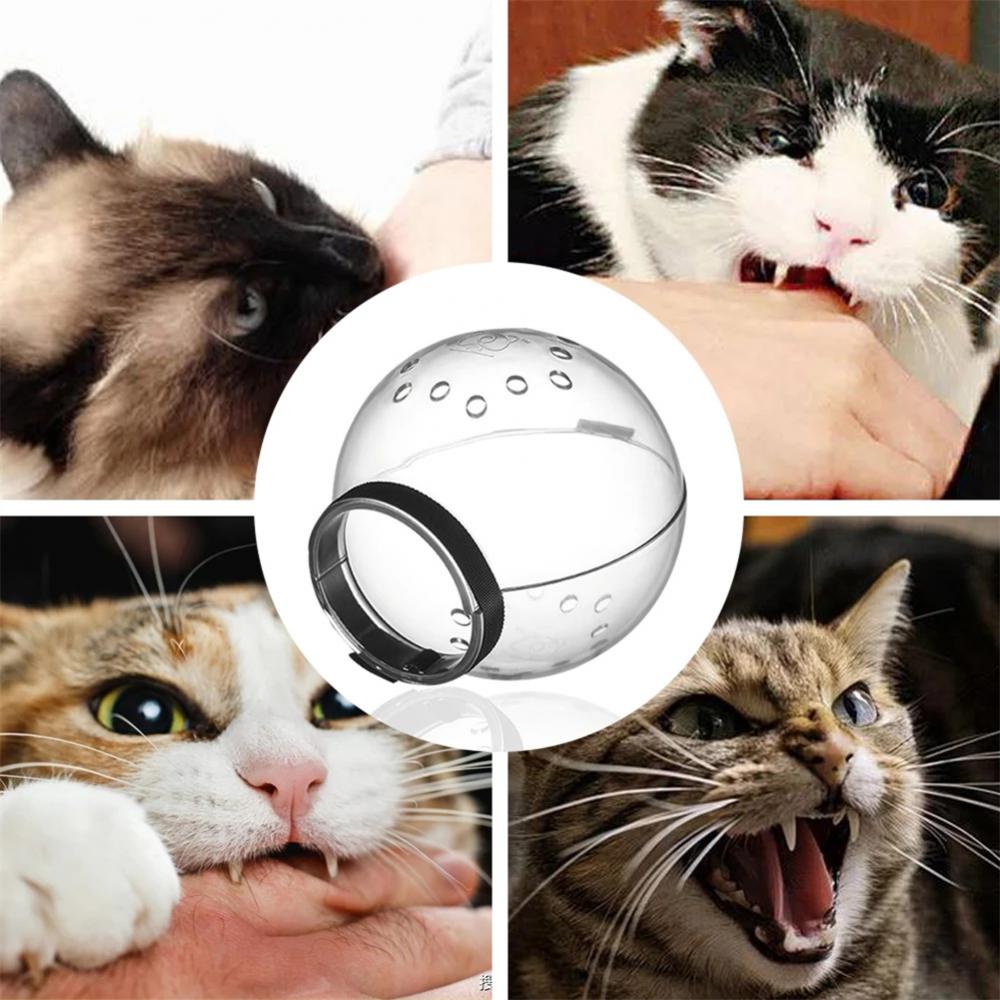 Black Reef SafeHood — Transparent Anti-Bite Cat Grooming Mask - BLACK REEF PETS