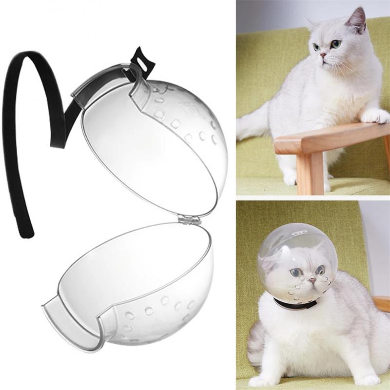 Black Reef SafeHood — Transparent Anti-Bite Cat Grooming Mask - BLACK REEF PETS
