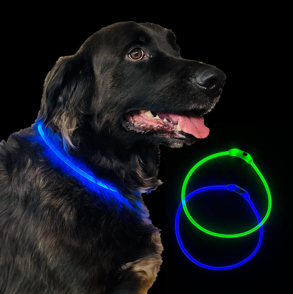 GlowReef LED safety collar 2-pack 500m visible USB rechargeable night collar in green