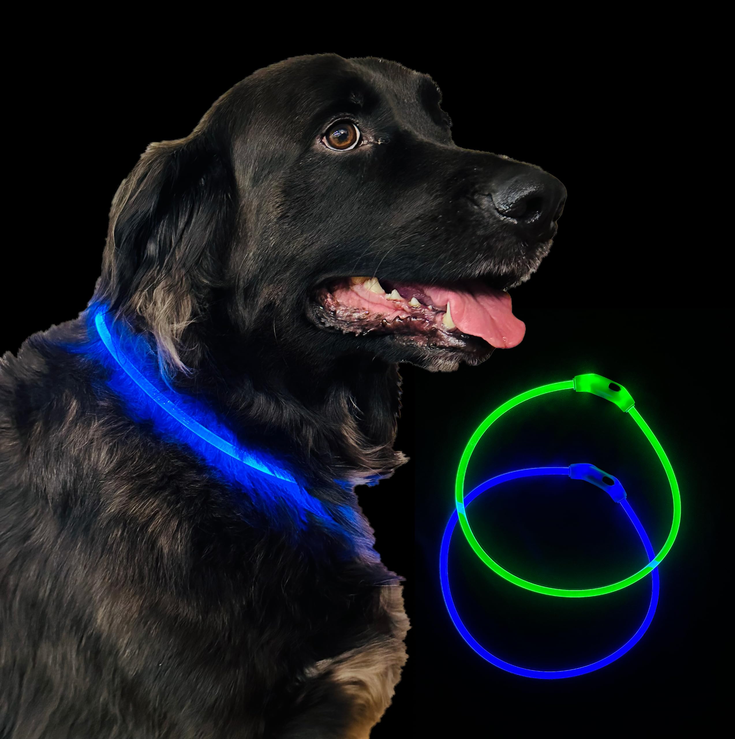 GlowReef LED safety collar 2-pack 500m visible USB rechargeable night collar in green