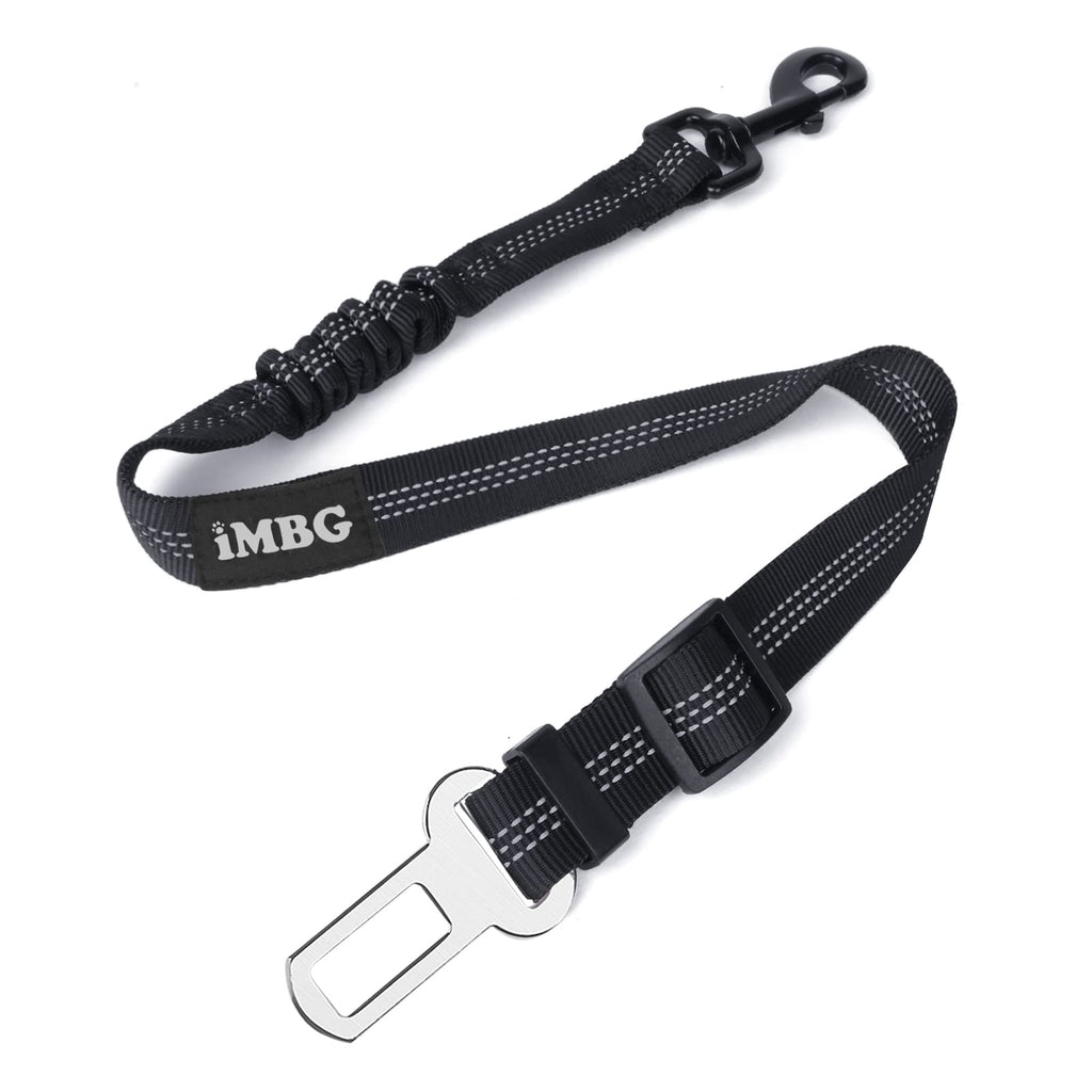 TailSafe car belt connected to seatbelt slot showing bungee buffer in use