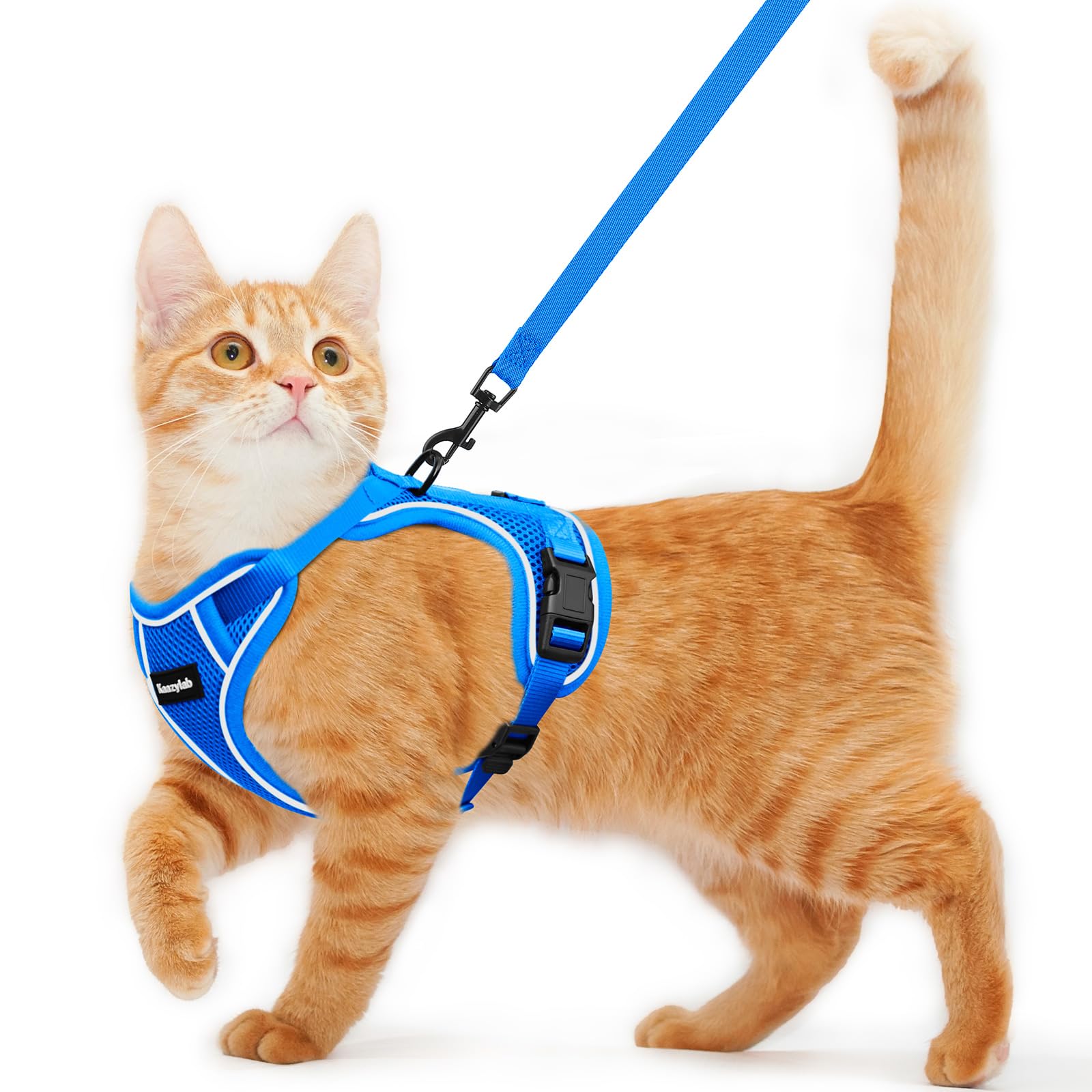 SureFit cat harness showing H-design and adjustable chest and neck straps